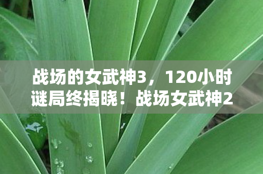 战场的女武神3,120小时谜局终揭晓!战场女武神2全员殒命时间线,泪目真相 战场的女武神3,120小时谜局终揭晓!战场女武神2全员殒命时间线,泪目真相