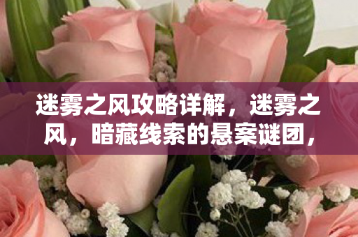 迷雾之风攻略详解，迷雾之风，暗藏线索的悬案谜团，毛骨悚然真相等你揭开！
