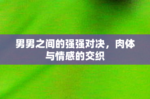 男男之间的强强对决,肉体与情感的交织 男男之间的强强对决,肉体与情感的交织