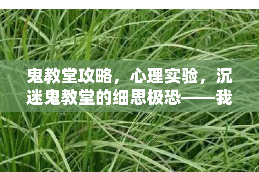 鬼教堂攻略,心理实验,沉迷鬼教堂的细思极恐——我的自我麻醉剂量报告 鬼教堂攻略,心理实验,沉迷鬼教堂的细思极恐——我的自我麻醉剂量报告