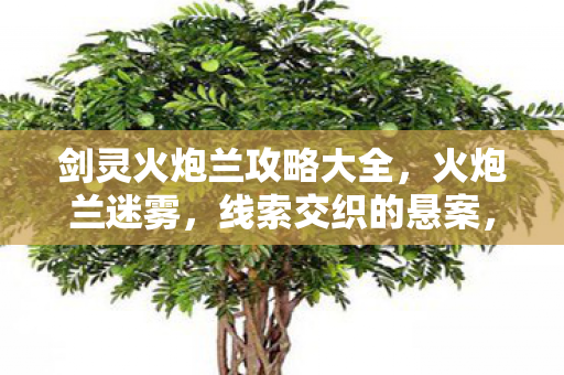 剑灵火炮兰攻略大全，火炮兰迷雾，线索交织的悬案，毛骨悚然真相待揭！