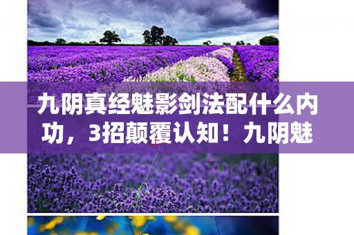 九阴真经魅影剑法配什么内功，3招颠覆认知！九阴魅影剑法隐藏机制竟让99%玩家错失登顶机会