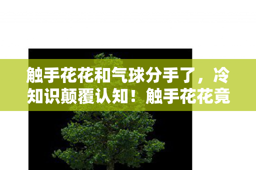 触手花花和气球分手了,冷知识颠覆认知!触手花花竟藏着让你目瞪口呆的隐藏设定 触手花花和气球分手了,冷知识颠覆认知!触手花花竟藏着让你目瞪口呆的隐藏设定