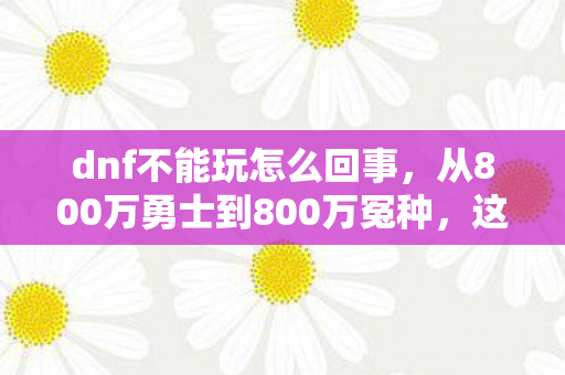 dnf不能玩怎么回事,从800万勇士到800万冤种,这落差真相让我笑着笑着就哭了 dnf不能玩怎么回事,从800万勇士到800万冤种,这落差真相让我笑着笑着就哭了
