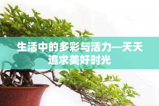 生活中的多彩与活力—天天追求美好时光 生活中的多彩与活力—天天追求美好时光