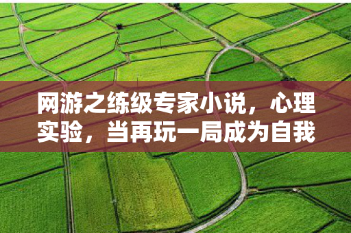 网游之练级专家小说,心理实验,当再玩一局成为自我麻醉的剂量,沉迷网游的细思极恐真相 网游之练级专家小说,心理实验,当再玩一局成为自我麻醉的剂量,沉迷网游的细思极恐真相