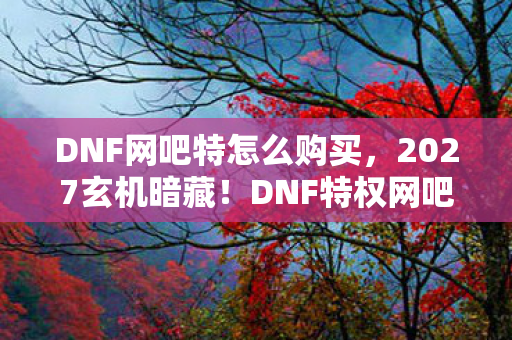 DNF网吧特怎么购买，2027玄机暗藏！DNF特权网吧的沉默馈赠，究竟给了我什么？