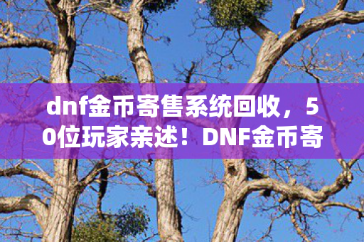 dnf金币寄售系统回收,50位玩家亲述!DNF金币寄售疑点重重,策划这波操作真绷不住了 dnf金币寄售系统回收,50位玩家亲述!DNF金币寄售疑点重重,策划这波操作真绷不住了