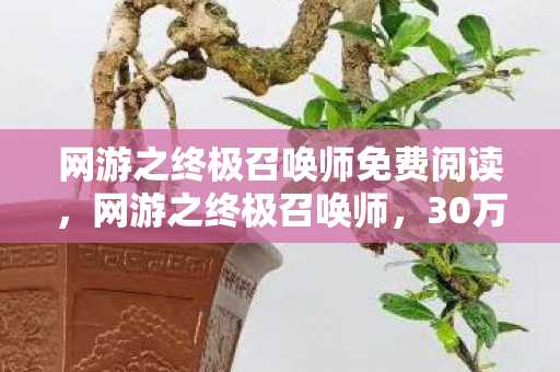 网游之终极召唤师免费阅读,网游之终极召唤师,30万卖房钱充值,老婆签离婚协议,惊爆背后隐情! 网游之终极召唤师免费阅读,网游之终极召唤师,30万卖房钱充值,老婆签离婚协议,惊爆背后隐情!