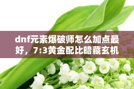 dnf元素爆破师怎么加点最好，7:3黄金配比暗藏玄机！99%玩家错过的觉醒之殇