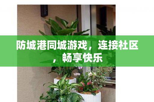 防城港同城游戏,连接社区,畅享快乐 防城港同城游戏,连接社区,畅享快乐
