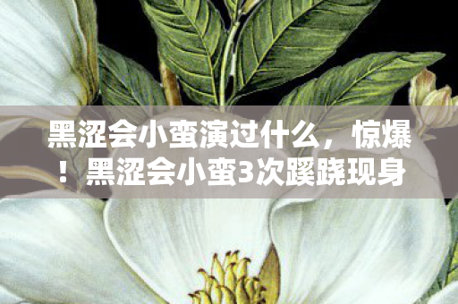黑涩会小蛮演过什么，惊爆！黑涩会小蛮3次蹊跷现身，真相揭晓瞬间后背发凉！