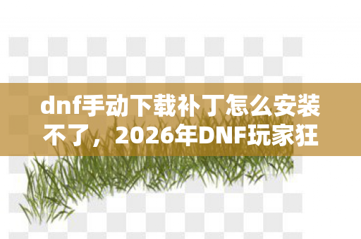 dnf手动下载补丁怎么安装不了，2026年DNF玩家狂喜！手动补丁安装竟藏着这些神操作？