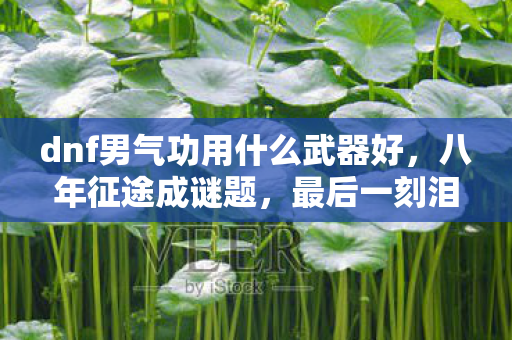 dnf男气功用什么武器好,八年征途成谜题,最后一刻泪目,男气功的武器终成绝响 dnf男气功用什么武器好,八年征途成谜题,最后一刻泪目,男气功的武器终成绝响