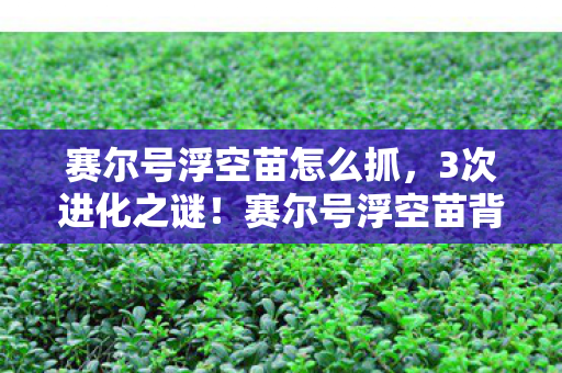 赛尔号浮空苗怎么抓,3次进化之谜!赛尔号浮空苗背后,藏着多少老玩家未知的真相? 赛尔号浮空苗怎么抓,3次进化之谜!赛尔号浮空苗背后,藏着多少老玩家未知的真相?