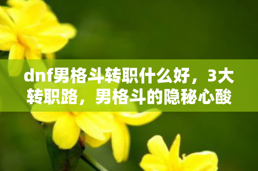 dnf男格斗转职什么好,3大转职路,男格斗的隐秘心酸,谁懂跨平台玩家的挣扎? dnf男格斗转职什么好,3大转职路,男格斗的隐秘心酸,谁懂跨平台玩家的挣扎?