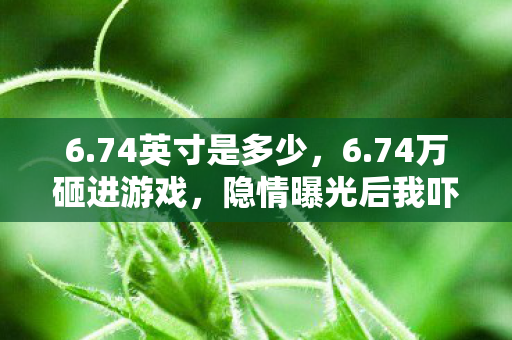 6.74英寸是多少,6.74万砸进游戏,隐情曝光后我吓一跳,这哪是玩,是当冤大头! 6.74英寸是多少,6.74万砸进游戏,隐情曝光后我吓一跳,这哪是玩,是当冤大头!