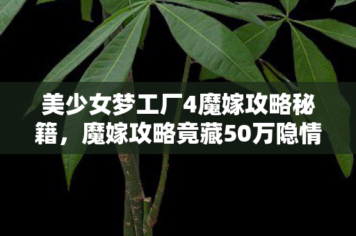 美少女梦工厂4魔嫁攻略秘籍,魔嫁攻略竟藏50万隐情?离职老兵拍桌,这数据吓掉我下巴! 美少女梦工厂4魔嫁攻略秘籍,魔嫁攻略竟藏50万隐情?离职老兵拍桌,这数据吓掉我下巴!