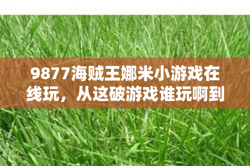 9877海贼王娜米小游戏在线玩,从这破游戏谁玩啊到笑着哭,落差真相里,我终究成了自己的笑话 9877海贼王娜米小游戏在线玩,从这破游戏谁玩啊到笑着哭,落差真相里,我终究成了自己的笑话