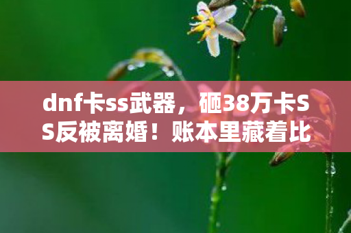 dnf卡ss武器，砸38万卡SS反被离婚！账本里藏着比深渊更黑的秘密