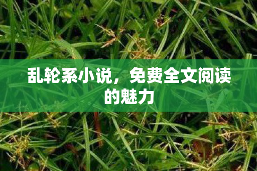 乱轮系小说,免费全文阅读的魅力 乱轮系小说,免费全文阅读的魅力