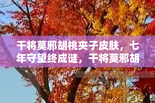 干将莫邪胡桃夹子皮肤,七年守望终成谜,干将莫邪胡桃夹,泪目见证游戏终章 干将莫邪胡桃夹子皮肤,七年守望终成谜,干将莫邪胡桃夹,泪目见证游戏终章
