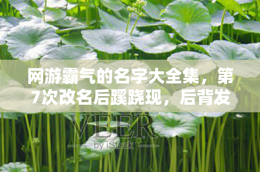 网游霸气的名字大全集,第7次改名后蹊跷现,后背发凉!网游ID竟藏着惊天秘密 网游霸气的名字大全集,第7次改名后蹊跷现,后背发凉!网游ID竟藏着惊天秘密