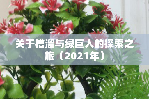 关于槽溜与绿巨人的探索之旅(2021年) 关于槽溜与绿巨人的探索之旅(2021年)