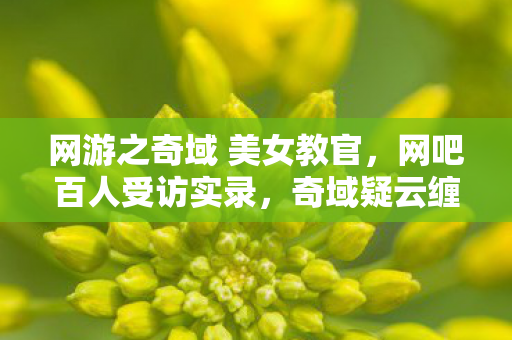 网游之奇域 美女教官，网吧百人受访实录，奇域疑云缠身，大神绷不住泪洒当场！