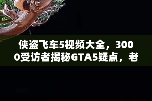 侠盗飞车5视频大全,3000受访者揭秘GTA5疑点,老炮玩家,这操作我直接绷不住! 侠盗飞车5视频大全,3000受访者揭秘GTA5疑点,老炮玩家,这操作我直接绷不住!