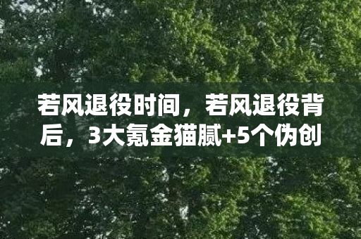 若风退役时间,若风退役背后,3大氪金猫腻+5个伪创新,这游戏还能上头多久? 若风退役时间,若风退役背后,3大氪金猫腻+5个伪创新,这游戏还能上头多久?