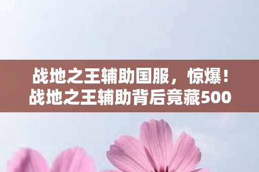 战地之王辅助国服，惊爆！战地之王辅助背后竟藏500万隐情，真相让人吓一跳！