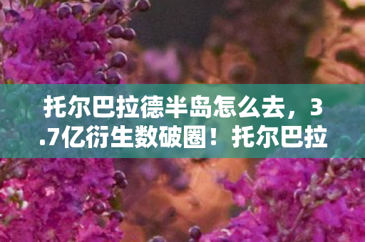 托尔巴拉德半岛怎么去,3.7亿衍生数破圈!托尔巴拉德竟从游戏爬进你妈手机壳? 托尔巴拉德半岛怎么去,3.7亿衍生数破圈!托尔巴拉德竟从游戏爬进你妈手机壳?