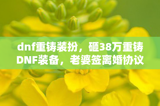dnf重铸装扮,砸38万重铸DNF装备,老婆签离婚协议才知隐情,真让人吓一跳! dnf重铸装扮,砸38万重铸DNF装备,老婆签离婚协议才知隐情,真让人吓一跳!