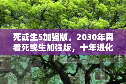 死或生5加强版，2030年再看死或生加强版，十年进化，何为格斗终极奥义？