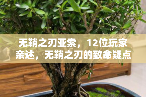无鞘之刃亚索,12位玩家亲述,无鞘之刃的致命疑点竟让大神都绷不住笑场? 无鞘之刃亚索,12位玩家亲述,无鞘之刃的致命疑点竟让大神都绷不住笑场?