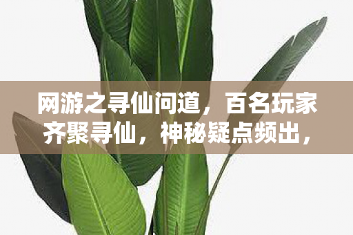 网游之寻仙问道,百名玩家齐聚寻仙,神秘疑点频出,大神都绷不住直呼离谱! 网游之寻仙问道,百名玩家齐聚寻仙,神秘疑点频出,大神都绷不住直呼离谱!
