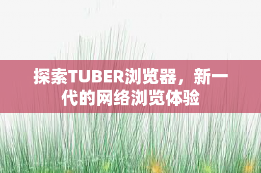 探索TUBER浏览器,新一代的网络浏览体验 探索TUBER浏览器,新一代的网络浏览体验
