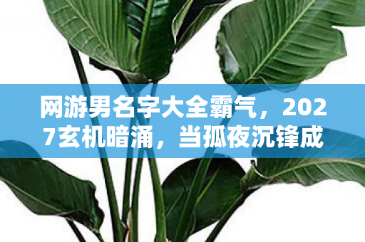 网游男名字大全霸气,2027玄机暗涌,当孤夜沉锋成为我的ID,这游戏究竟给了我什么? 网游男名字大全霸气,2027玄机暗涌,当孤夜沉锋成为我的ID,这游戏究竟给了我什么?