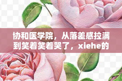 协和医学院，从落差感拉满到笑着笑着哭了，xiehe的真相太扎心！