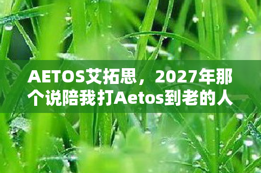 AETOS艾拓思，2027年那个说陪我打Aetos到老的人，如今再上线时我鼻子一酸