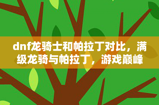 dnf龙骑士和帕拉丁对比，满级龙骑与帕拉丁，游戏巅峰的王者，现实深渊的悖论囚徒