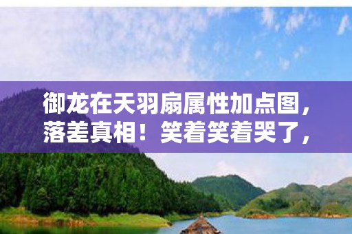 御龙在天羽扇属性加点图，落差真相！笑着笑着哭了，御龙羽扇加点竟成策划的终极玩笑？