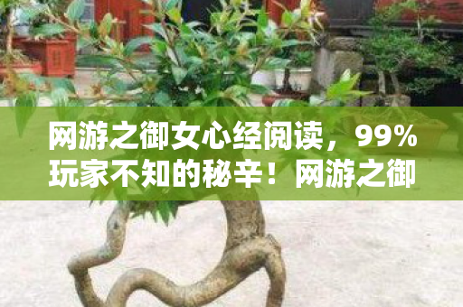 网游之御女心经阅读,99%玩家不知的秘辛!网游之御女心经里藏着多少扎心真相? 网游之御女心经阅读,99%玩家不知的秘辛!网游之御女心经里藏着多少扎心真相?