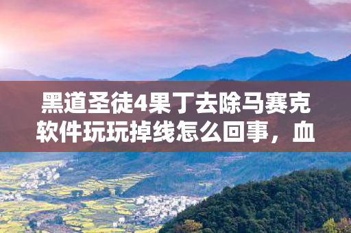 黑道圣徒4果丁去除马赛克软件玩玩掉线怎么回事,血色迷局,黑道圣徒4去马赛克下的悬案与毛骨悚然真相 黑道圣徒4果丁去除马赛克软件玩玩掉线怎么回事,血色迷局,黑道圣徒4去马赛克下的悬案与毛骨悚然真相