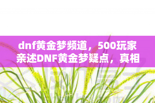 dnf黄金梦频道,500玩家亲述DNF黄金梦疑点,真相揭晓时众人绷不住了! dnf黄金梦频道,500玩家亲述DNF黄金梦疑点,真相揭晓时众人绷不住了!