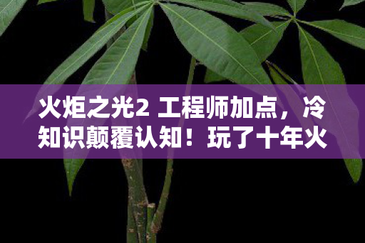 火炬之光2 工程师加点,冷知识颠覆认知!玩了十年火炬之光2工程师,真相让我目瞪口呆! 火炬之光2 工程师加点,冷知识颠覆认知!玩了十年火炬之光2工程师,真相让我目瞪口呆!