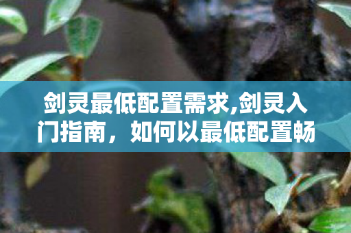 剑灵最低配置需求,剑灵入门指南,如何以最低配置畅玩这款东方幻想大作 剑灵最低配置需求,剑灵入门指南,如何以最低配置畅玩这款东方幻想大作