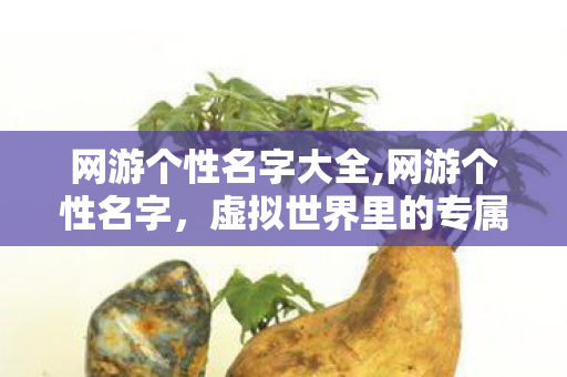 网游个性名字大全,网游个性名字，虚拟世界里的专属身份标签