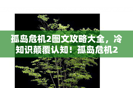 孤岛危机2图文攻略大全，冷知识颠覆认知！孤岛危机2这些设计细节，让你目瞪口呆！